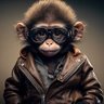 defi_monkey 的头像