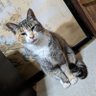 Фото профиля akinori☀🐾🍯
