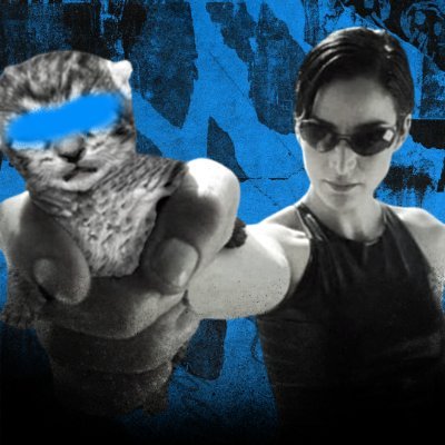 Dmitry's profile picture