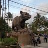 あおao profil fotoğrafı