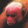 ?PlaceName?'s profile picture
