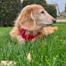 Lucy❤️ profil fotoğrafı