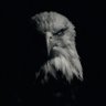 uquri's profile picture