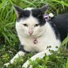 Profilbild von wawei329
