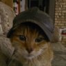 Profilbild von sharad