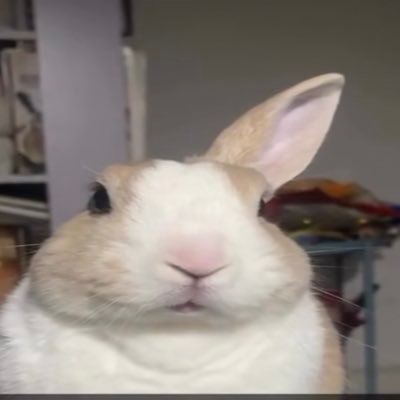 SfyzuVFX's profile picture
