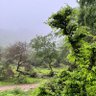 Фото профиля ashq watn