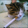 Profilbild von krini_s