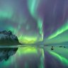 Aurora 的头像
