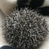 himsy's profile picture