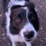 Profilbild von Tabes