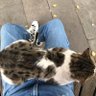 NİLJK profil fotoğrafı