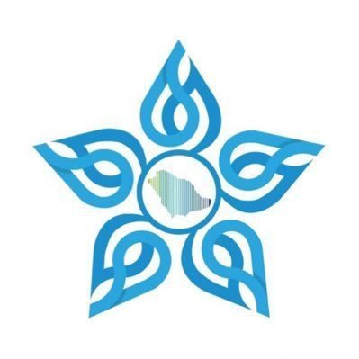E1_DMC's profile picture