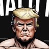 Donald Pump Bitcoin 的头像