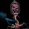 Фото профиля Salvinius Santos