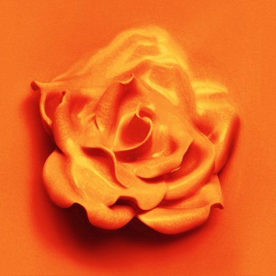 dollhwasa's profile picture