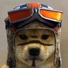 spoke's profile picture