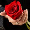 آنتي عمري profil fotoğrafı