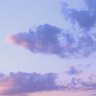 うずらうみ 的头像