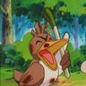 Profilbild von some duck with a leek