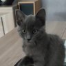 Francky's profile picture