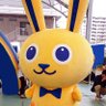 こくみんうさぎといっしょ🙌 的头像