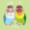 ボタンインコのピコキリ's profile picture