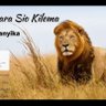 Maina Esq profil fotoğrafı