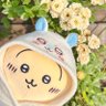 Profilbild von みーたん
