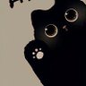 Profilbild von sie