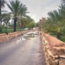 محمد الخالدي 的头像
