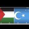 Feyzi Aliç's profile picture