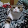 Фото профиля カノンと一緒