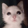 Profilbild von Non0m0