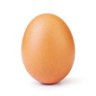 Profilbild von Idk eggs?