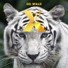 Фото профиля MiKeX 