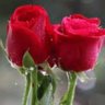 Ayaz khan's profile picture