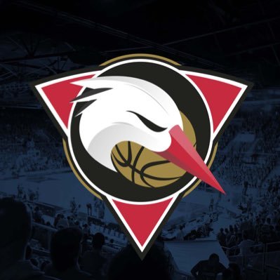 sigstrasbourg's profile picture