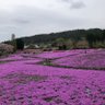 しょう profil fotoğrafı