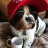 Profilbild von Oliver VanWorstead