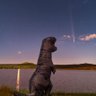 моральний компас profil fotoğrafı