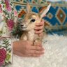هالة البجادي 的头像