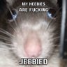 yo's profile picture