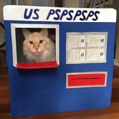 『S』's profile picture