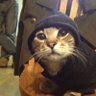 Misu's profile picture