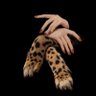 Profilbild von ف