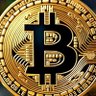 Freedom First ₿itcoiner's profile picture