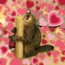 im'stella's profile picture