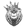 KingOso's profile picture