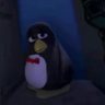 Rascxl's profile picture